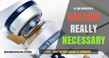Is the Hepatitis B Vaccine Essential for Your Health?