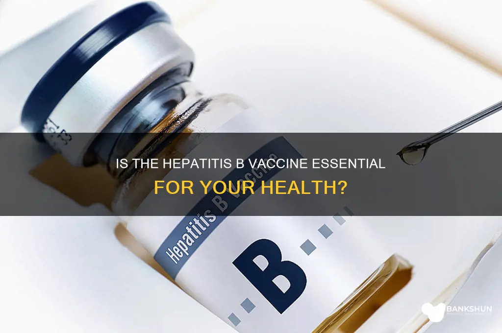 is the hepatitis b vaccine really necessary