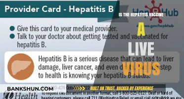 Is the Hepatitis Vaccine a Live Virus? Facts and Safety Explained