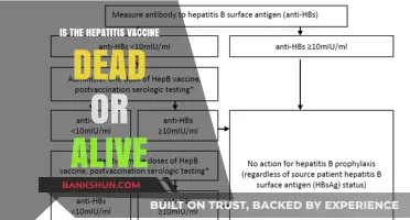 Is the Hepatitis Vaccine Live or Inactivated? Debunking Myths