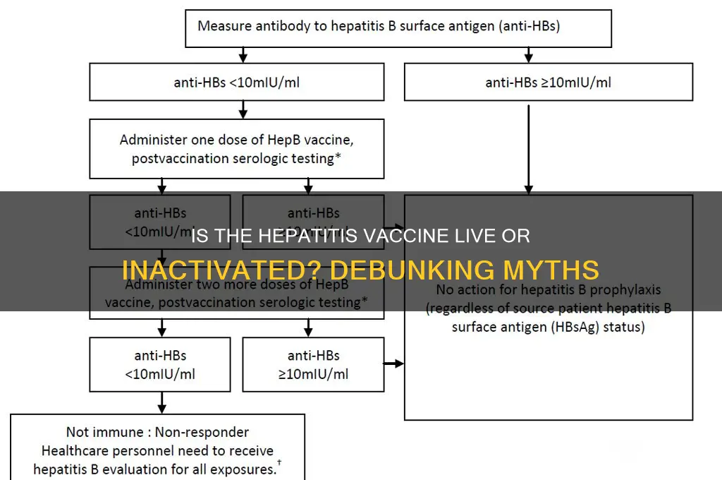 is the hepatitis vaccine dead or alive