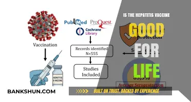 Hepatitis Vaccine: Lifelong Protection or Periodic Booster Needed?