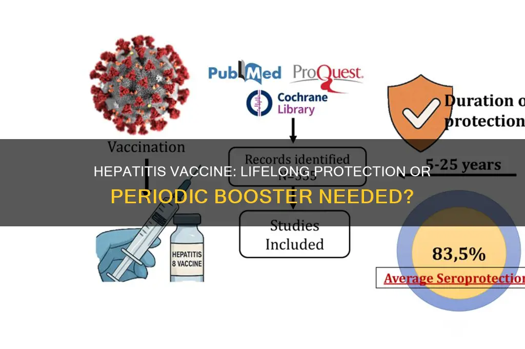 is the hepatitis vaccine good for life