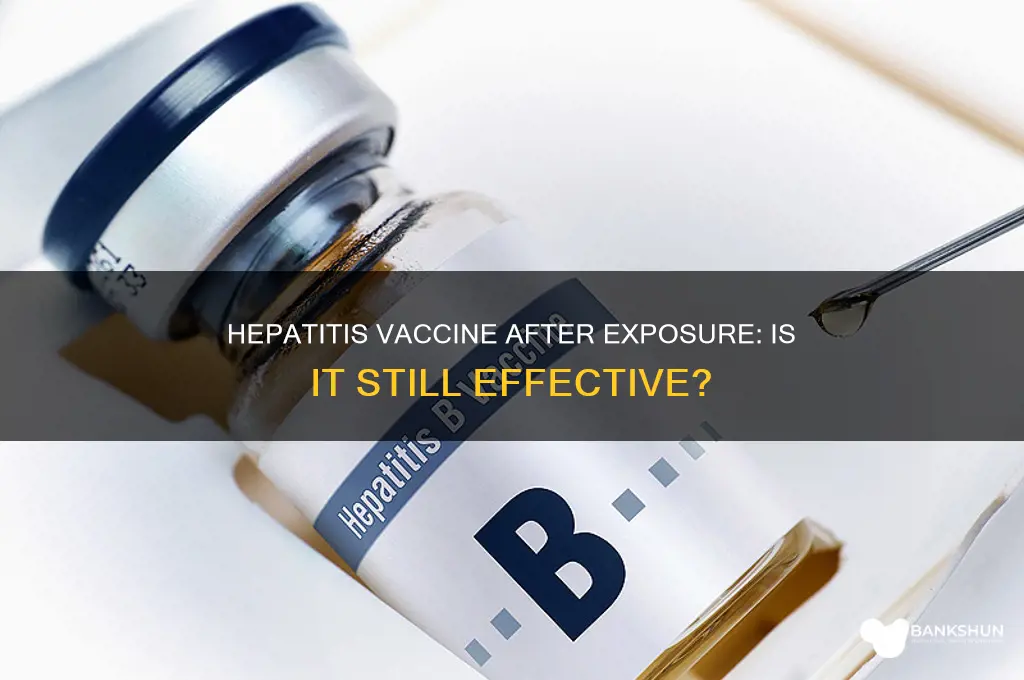 is the hepatitis vaccine helpful after exposure