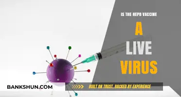 Is the HepB Vaccine a Live Virus? Facts and Safety Explained