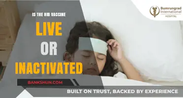 Hib Vaccine: Live or Inactivated? Understanding the Difference