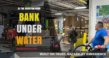 Houston Food Bank Flooded: Current Status and Community Response
