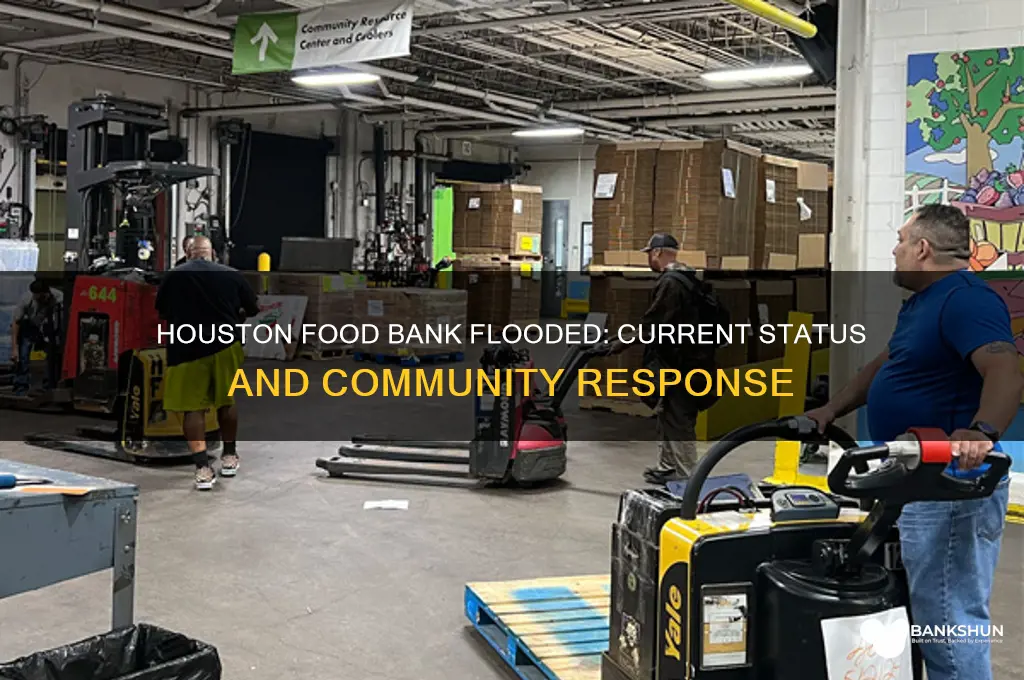 is the houston food bank under water