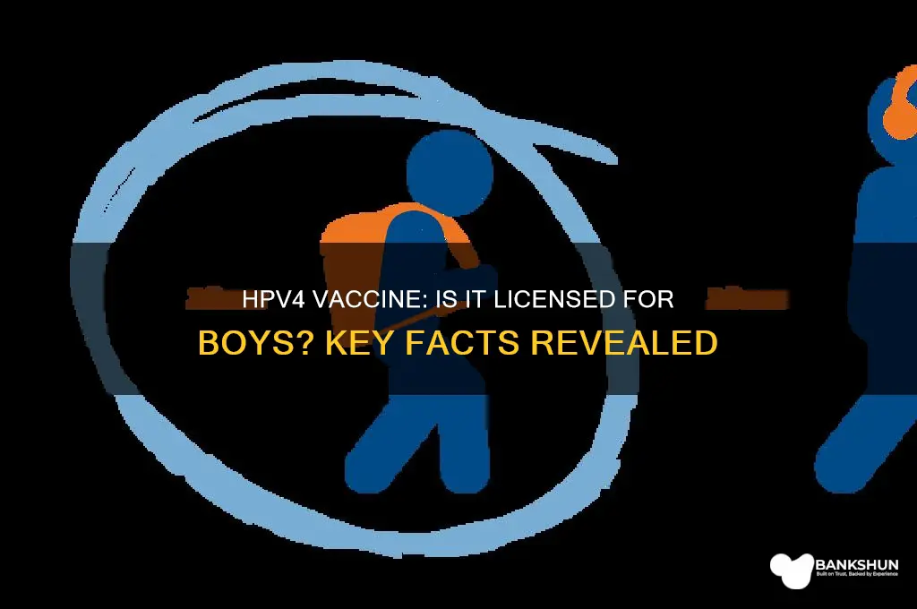 is the hpv4 vaccine licensed for boys