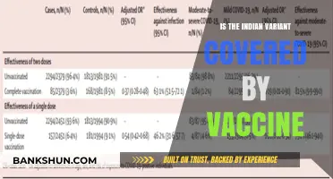 Indian COVID-19 Variant: Vaccine Efficacy and Protection Explained