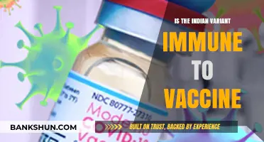 Indian COVID-19 Variant: Vaccine Efficacy and Immunity Concerns Explained