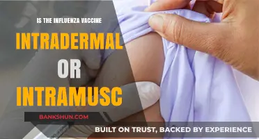 Influenza Vaccine Administration: Intradermal vs. Intramuscular Explained
