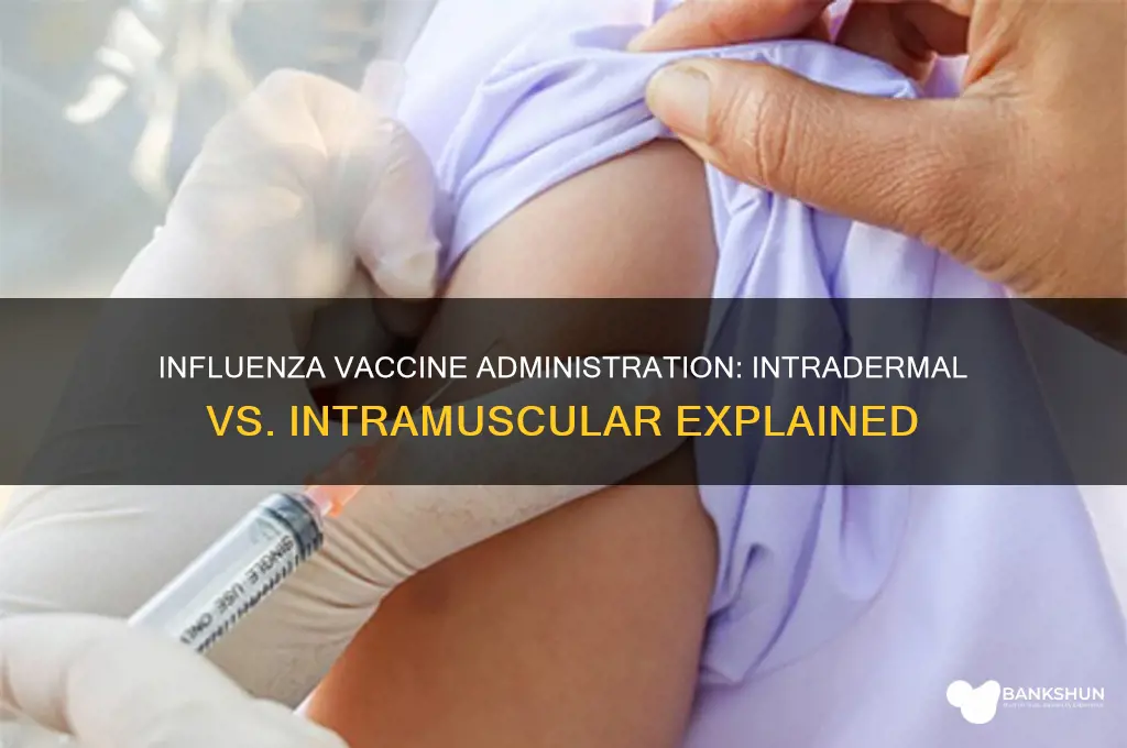 is the influenza vaccine intradermal or intramusc