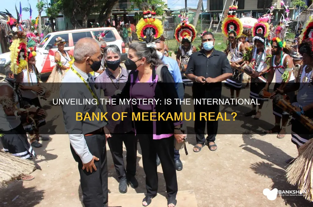 is the international bank of meekamui real