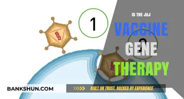 J&J Vaccine: Gene Therapy or Traditional Immunization? Unraveling the Facts