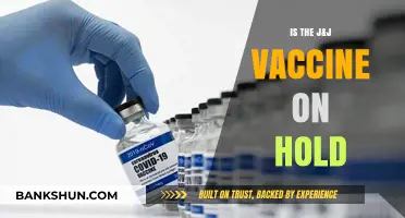 J&J Vaccine Pause: What You Need to Know Now