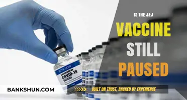 J&J Vaccine Pause: Current Status and What You Need to Know