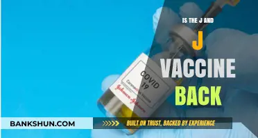 Is the Johnson & Johnson Vaccine Returning? Latest Updates and Insights