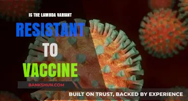 Lambda Variant: Vaccine Resistance Concerns and Current Effectiveness Insights