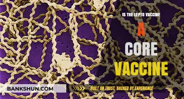 Is Lepto Vaccine Core? Understanding Its Role in Pet Health
