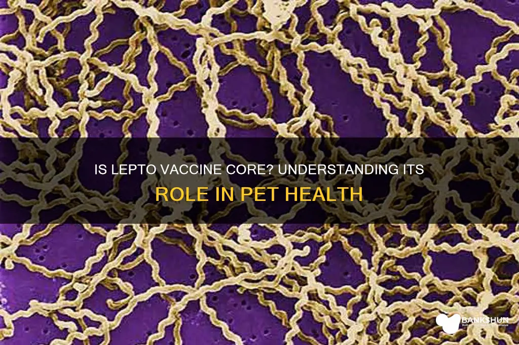 is the lepto vaccine a core vaccine