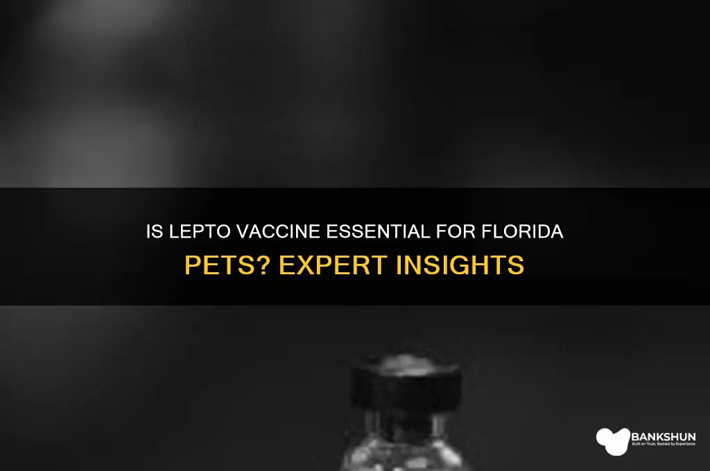 is the lepto vaccine necessary in fl