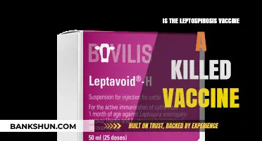 Is Leptospirosis Vaccine a Killed Vaccine? Facts and Insights