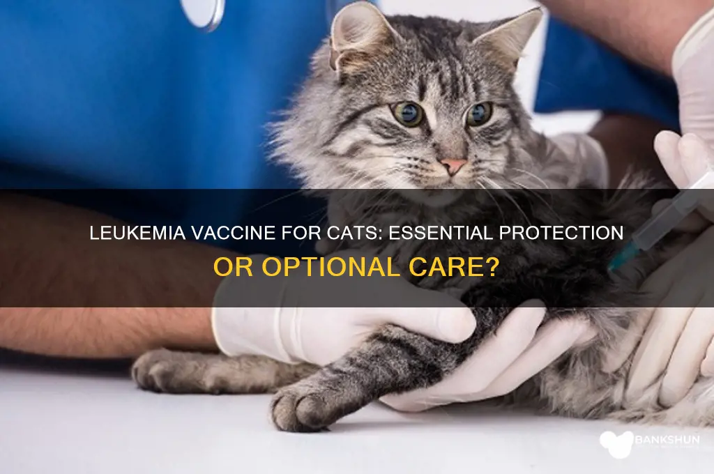 is the leukemia vaccine necessary for cats