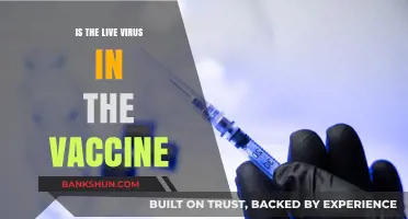 Live Virus in Vaccines: Fact vs. Fiction Explained