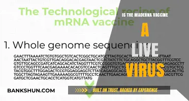 Is the Moderna Vaccine a Live Virus? Debunking Myths and Facts