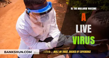 Is the Malaria Vaccine a Live Virus? Facts and Insights