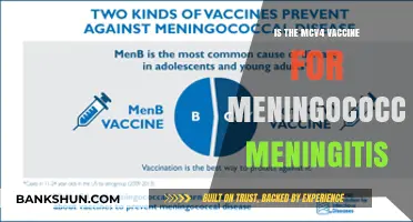 Understanding MCV4: Meningococcal Meningitis Vaccine Protection and Benefits
