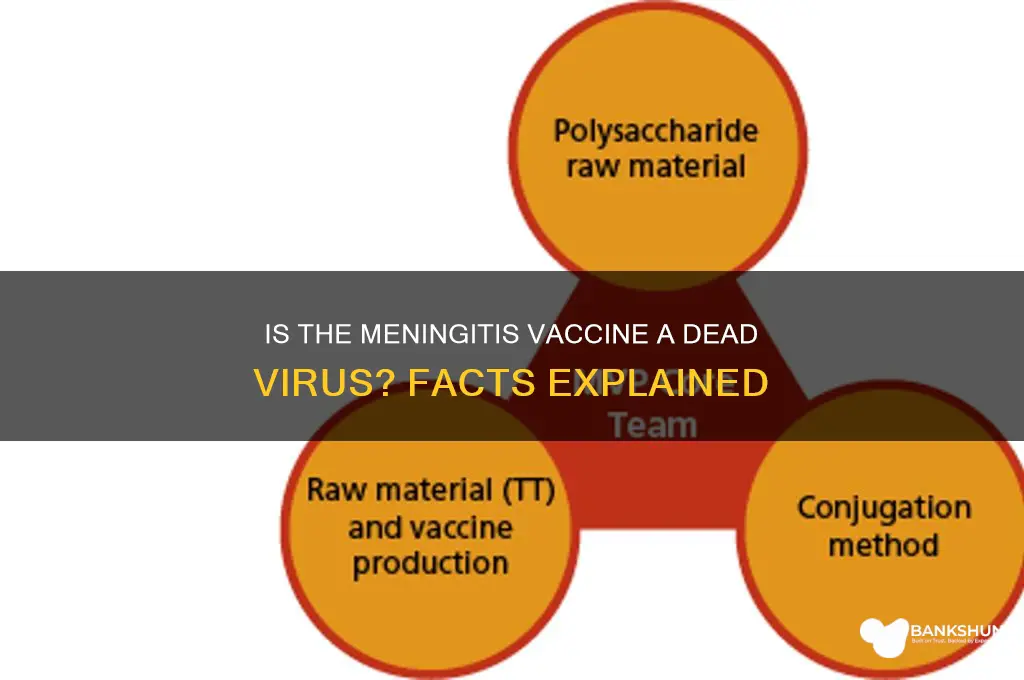 is the meningitis vaccine a dead virus
