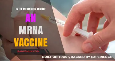 Is the Meningitis Vaccine an mRNA Vaccine? Facts Explained