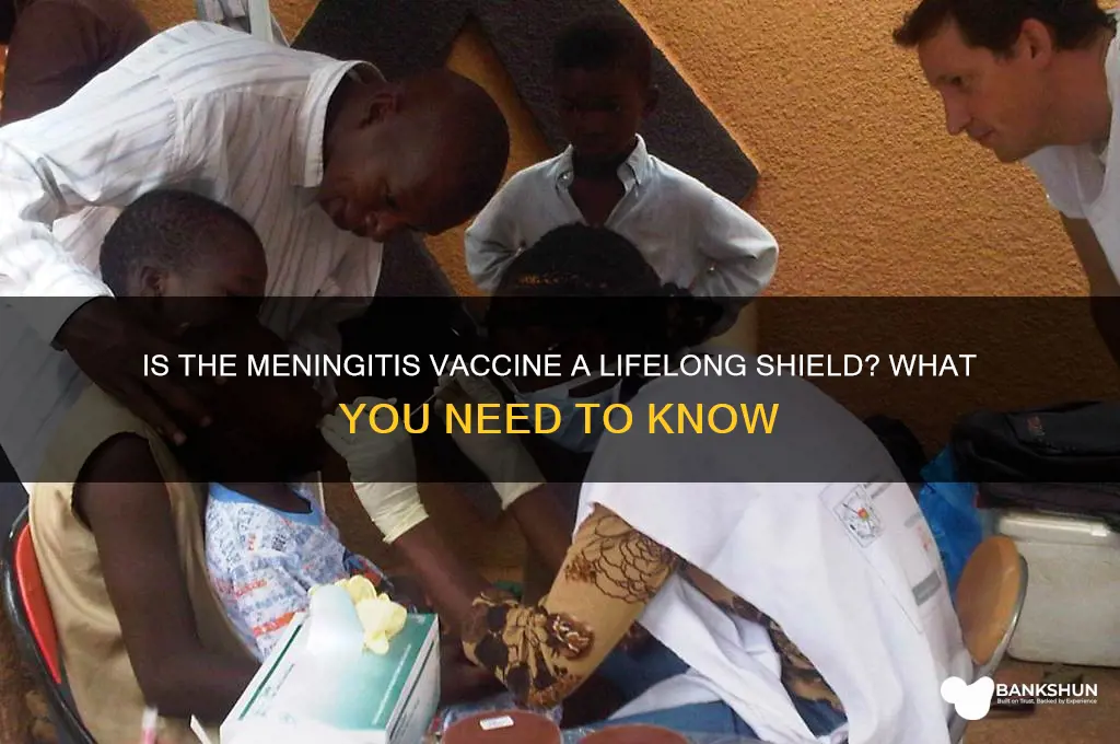 is the meningitis vaccine good for life