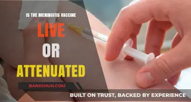 Meningitis Vaccine: Live, Attenuated, or Inactivated? Understanding the Types