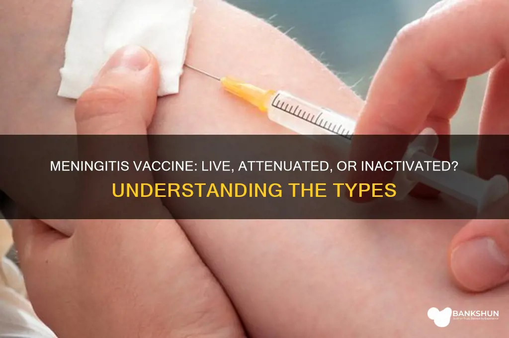 is the meningitis vaccine live or attenuated