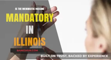 Is the Meningitis Vaccine Mandatory in Illinois? What You Need to Know