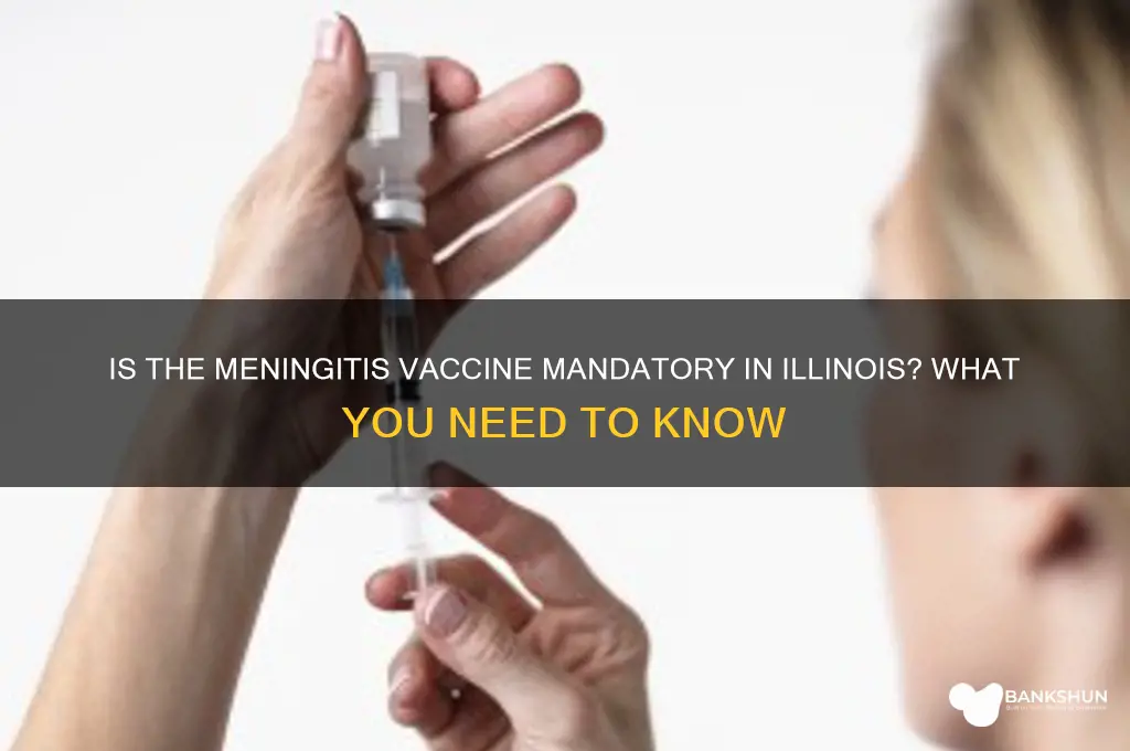 is the meningitis vaccine mandatory in illinois