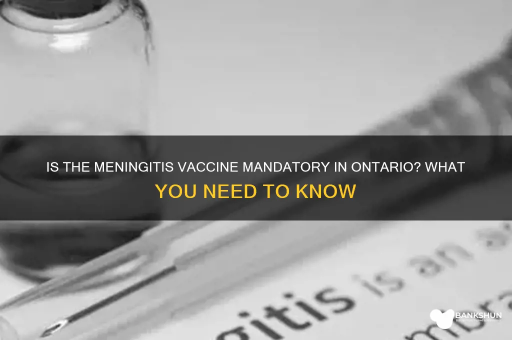 is the meningitis vaccine mandatory in ontario