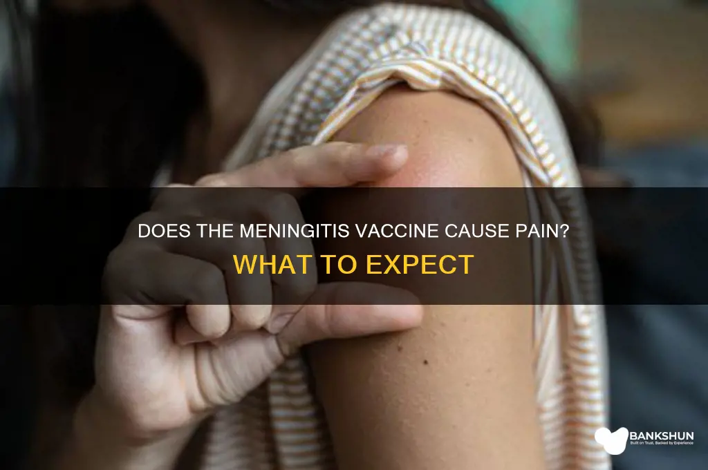 is the meningitis vaccine supposed to hurt