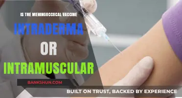 Meningococcal Vaccine Administration: Intradermal or Intramuscular Route?