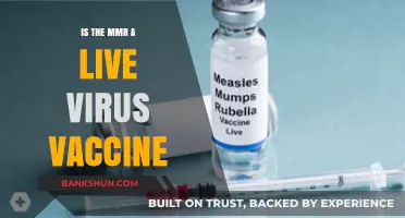 Is the MMR Vaccine a Live Virus? Facts and Safety Explained