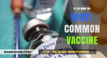 Is the MMR Vaccine the Most Common Immunization Worldwide?