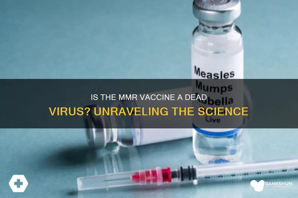 is the mmr vaccine a dead virus