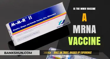 Is the MMR Vaccine an mRNA Vaccine? Unraveling the Facts