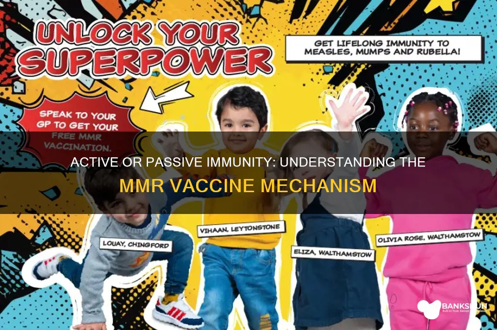 is the mmr vaccine active or passive