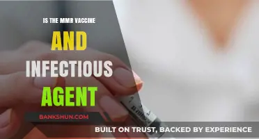 MMR Vaccine and Infectious Agents: Separating Fact from Fiction