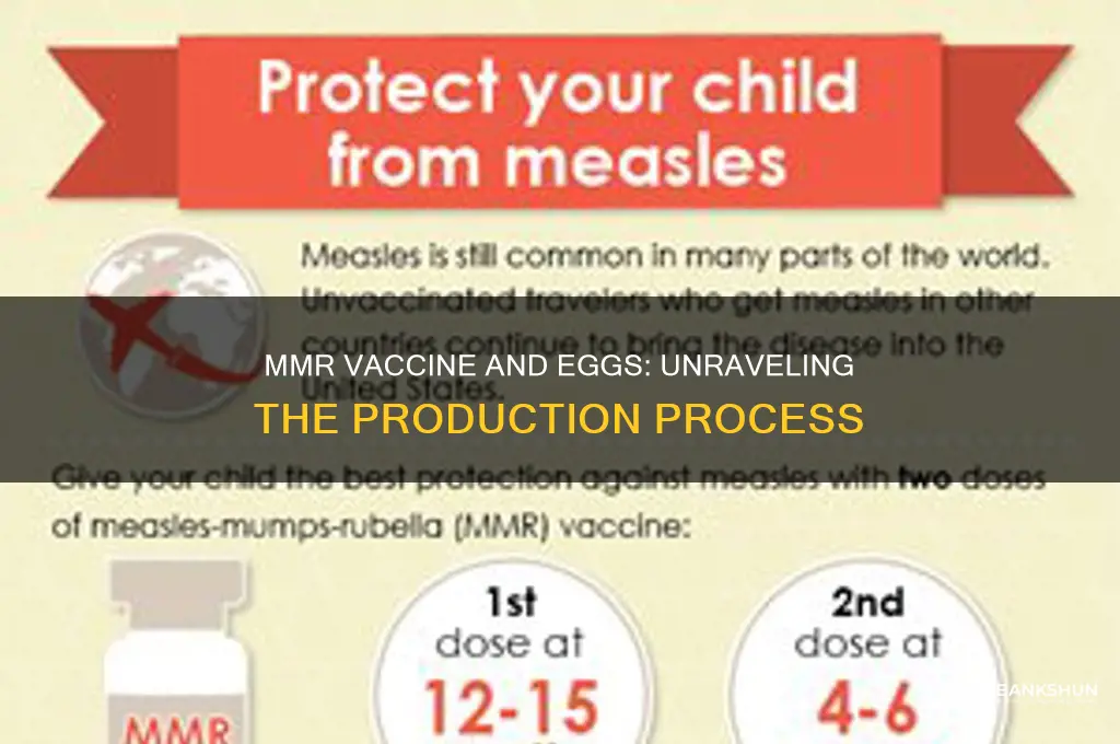 is the mmr vaccine grown in eggs