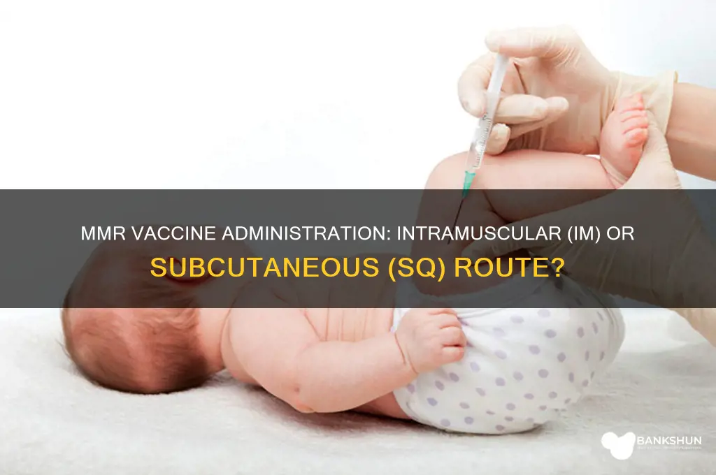 is the mmr vaccine im or sq